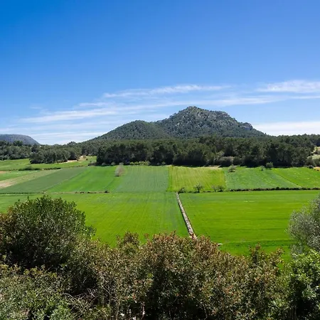 Can Gallot De Punxuat